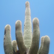 misterpm profile image