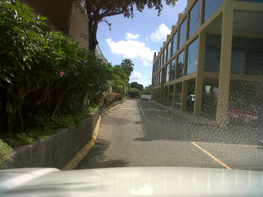 From the windscreen in a car park at New Kingston.