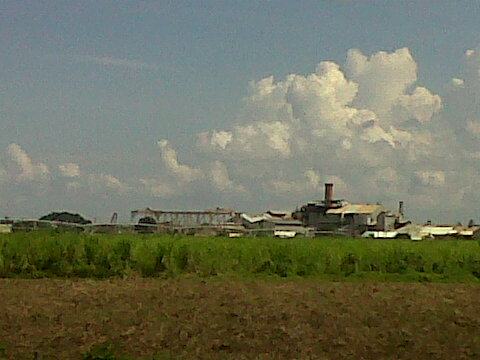I do believe that this is the Bernard Lodge Sugar Estate.
