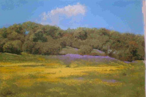 Buttercups and Bluebells - SOLD.   Unison Colour Pastels on Colourfix paper.  
