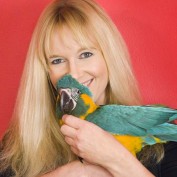VeryGoodBird profile image