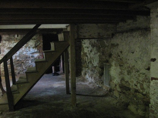 the cobwebbed cellar