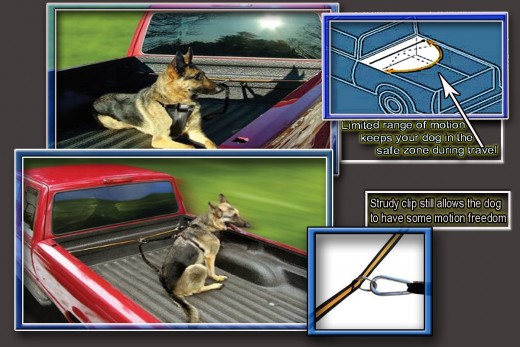 The Dog Safety Tether for your truck has a durable clip that allows limited movement yet still keeps your dog in the safety zone of the truck bed.