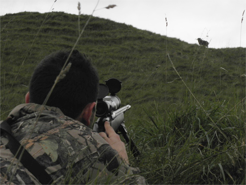 Sighting the shot after using Deerhunter's Edge Hunting Predictor