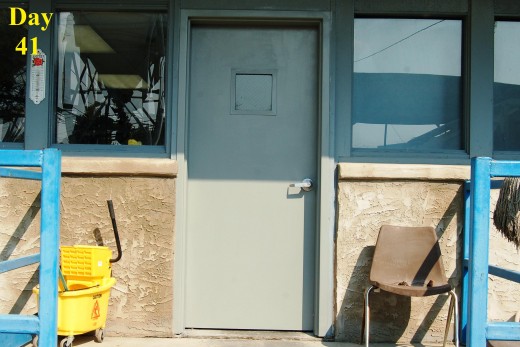 I painted the front door at work today since it was beginning to show signs of rusting.  To my surprise, I discovered that the door had never been painted, they just hung it with primer on it.  No wonder everything falls apart at work, it's all half-