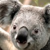 alvinjnr profile image