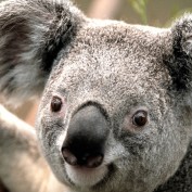 alvinjnr profile image