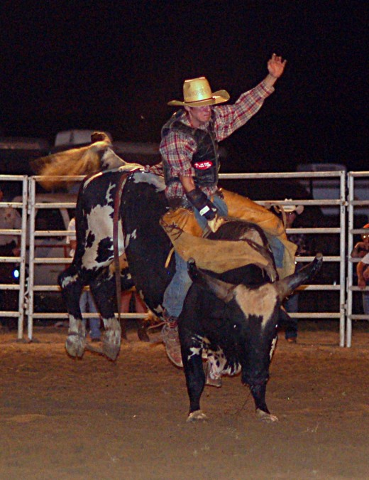 A cowboy riding a bull at the Benson Mule Days Rodeo.