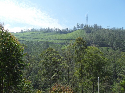 Beautiful Munnar