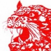 MoshJercer profile image