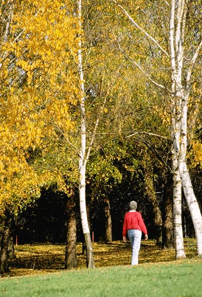 Walking for relaxation