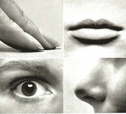 Our God-given senses
