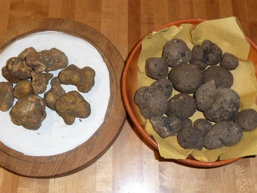 L: white truffles, R: black truffles