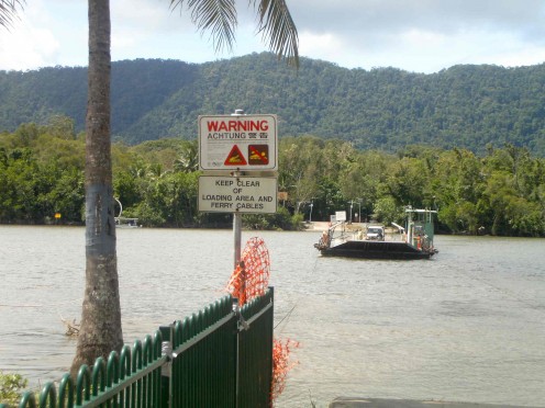 The Daintree ferry - start of an adventure
