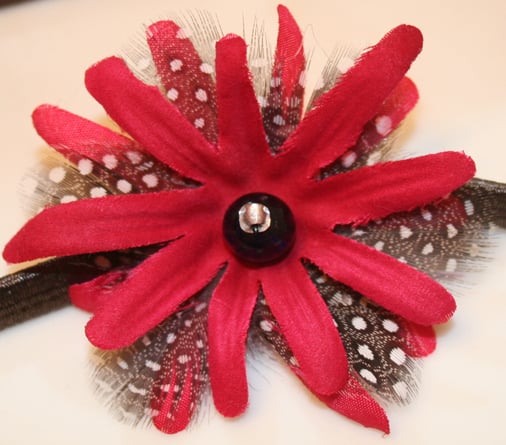 A birthday present--Hot pink flower petals with black and white polka-dotted feathers!!  