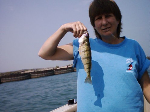 Working on a fish fry.