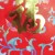 Main motif: blossoms / calligraphy