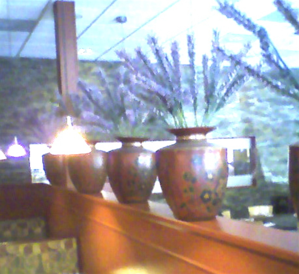 Room divider with lavender pots.