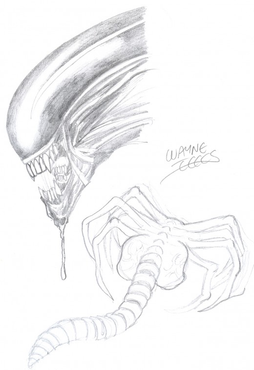 Draw an aliens head, Drawing overview.