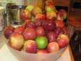 beautiful  apples