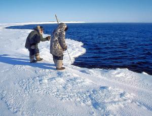 Another facet of Inuit character is their patience in the hunt. They will wait for seals to come up and breath and then will capture them.