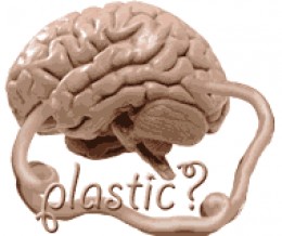 Plastic Brain – Multiple Sclerosis Research Blog