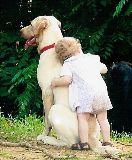 little child hugging a large dog - adorable!
