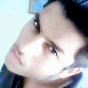 Showbit profile image