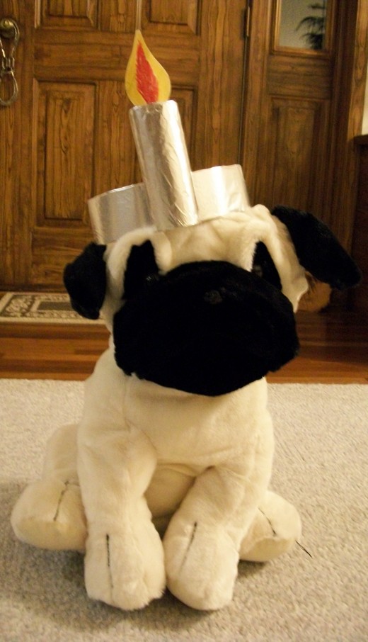 A puppy models because the kid is grown up already. 