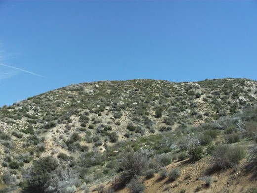 One of the various chaparral filled hills near The Pinnacles.