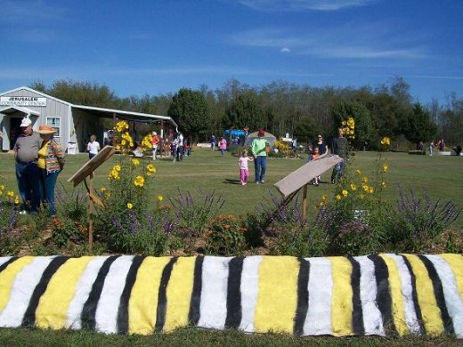 The caterpillar, nectar garden and lawn view north  to the blue butterfly holding tent.