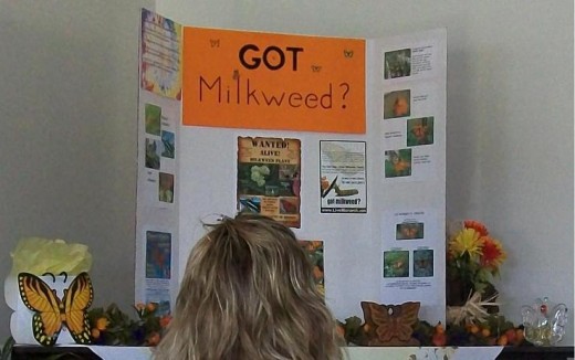 Got MILKweed?  Artwork by the Blanchard 4-H capable kids.  Milkweeds are the ONLY host plants for Monarch butterfly larvae.