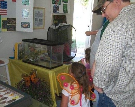 A proud dad studies the butterfly exhibits with his very interested daughter.