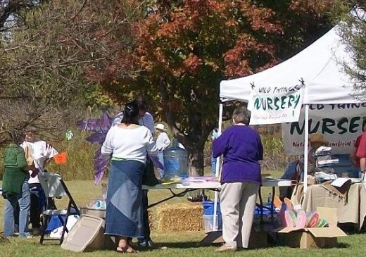 Butterfly nurturing plants, seeds, instructions, pots, décor, all were available to browse.