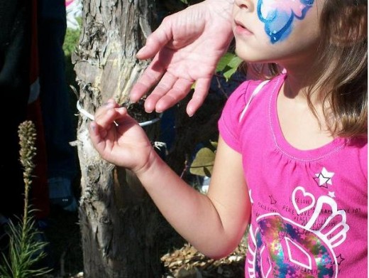 This amazed child has just watched a Monarch take to the sky from her hand - on its way to Mexico.