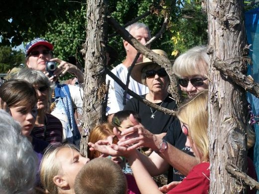 Linda Schemmer demonstrates again how to hold a butterfly without injury to either its body or wings.