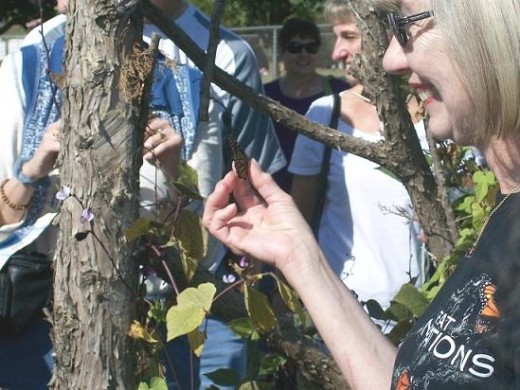 A new crowd gathered for each release time.  It was an exciting event for a lucky child, the relatives, and all who watched the Monarch fly.