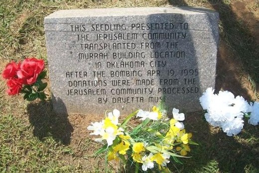 The memorial dedication stone by the sapling.