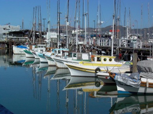 The Real Fisherman's Wharf