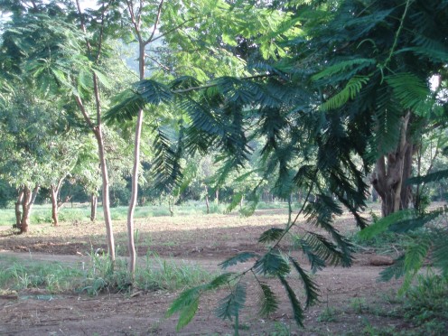 Another view of the driveway to the house