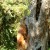 Doing a doggy pull-up helped to increase his shoulder strength as well as hip strength.