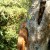 More doggy pull-ups will continue to strengthen shoulders and hips, making this summer's water sports a much more macho scenario for Kal.