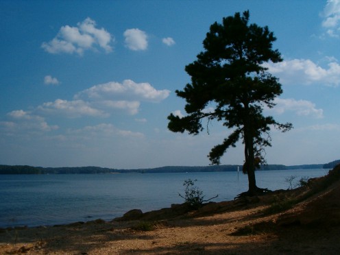 Looking out towards Malone's Cove across the lake.