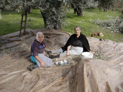 Olive Pickers at Lunch