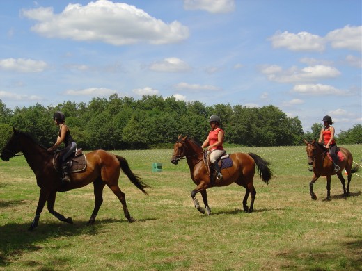 Tales of witches and horse shows on the banks of Videix Lakes
