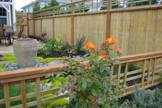 Garden Fence