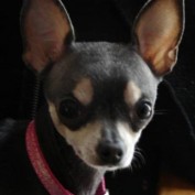 magaritas profile image