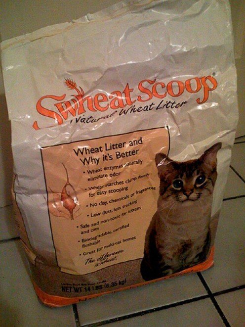 Cat Litter Reviews: Brand Reviews and The Best Clumping Cat Litter Cat Litter Reviews: Brand Reviews and The Best Clumping Cat Litter