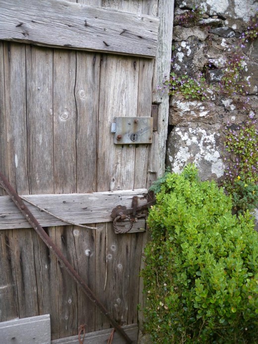 The door to the walled garden... can you hardly wait to open it?