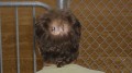 Hairloss Treatment Centers in Manila